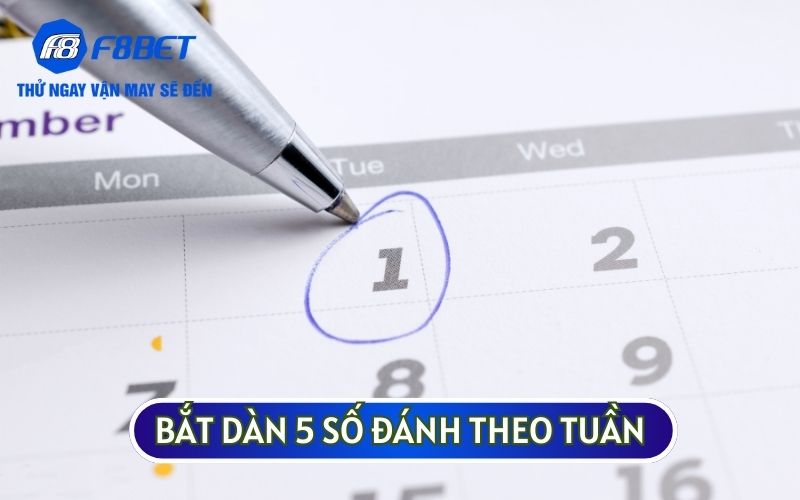 Dàn 5 số đánh theo tuần đòi hỏi bạn phải tính toán thật kỹ lưỡng